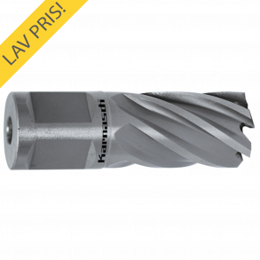 Karnasch Kernebor 12x25 19mm Weldon Skaft HSSXE SilverLine 