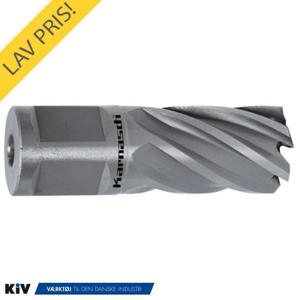 Karnasch Kernebor 22x25 19mm Weldon Skaft HSSXE SilverLine 