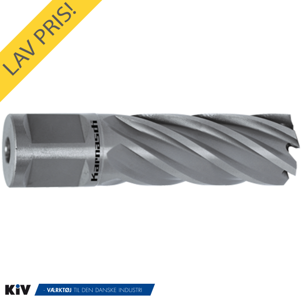 Karnasch Kernebor 40x50 19mm Weldon Skaft HSSXE SilverLine 