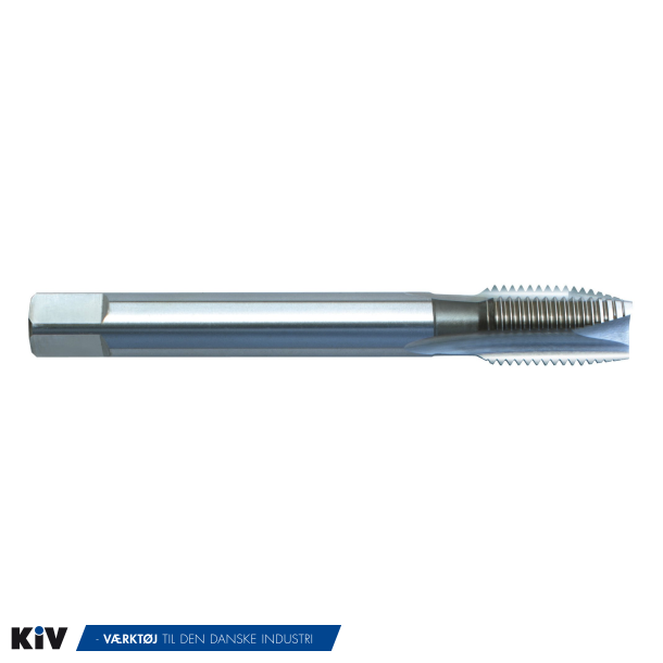 Gertus Spnbrydertap RG 1/8" 740 DUR HSSE DIN5156 